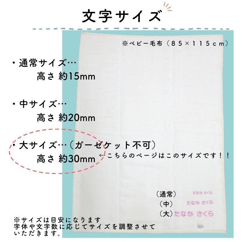 【毛布専用】お名前刺繍 大サイズ(30mm)